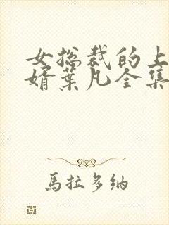 女总裁的上门女婿叶凡全集封面