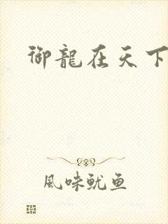 御龙在天下载封面