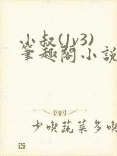 小叔(1v3)笔趣阁小说免费阅读笔趣阁最