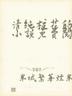 清纯校花的秘密小说免费阅读封面