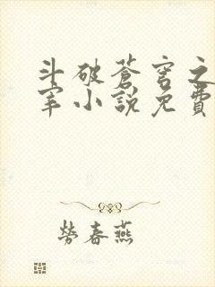 斗破苍穹之大主宰小说免费阅读全文封面