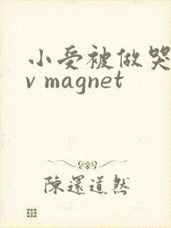 小受被做哭的gv magnet