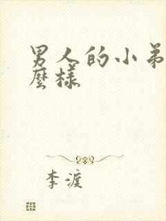 男人的小弟弟什么样