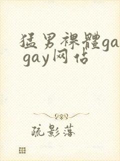 猛男裸体gay gay网站