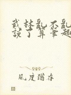 武林乱不乱乔峰说了算笔趣阁