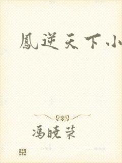 凤逆天下小说