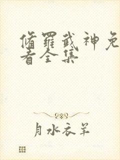 修罗武神免费观看全集封面