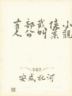 有部武侠小说主人公叫叶观的小说