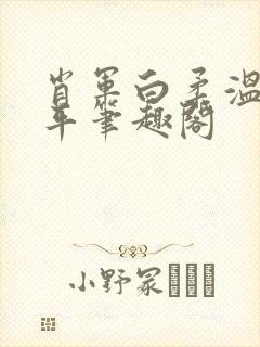 肖军白柔温婉王平笔趣阁