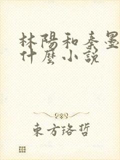 林阳和秦墨浓是什么小说封面