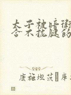 太子被暗卫c到合不拢腿的后果