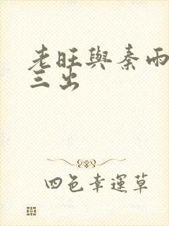 老旺与秦雨三进三出封面