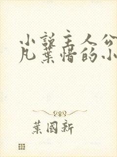 小说主人公叫林凡叶惜的小说