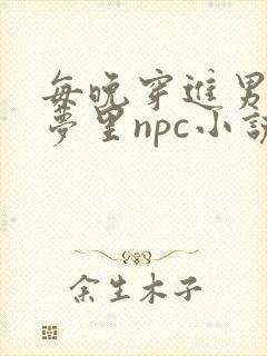 每晚穿进男神的梦里npc小说封面