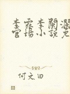 李霖李阑澜巅峰官场小说免费阅读封面