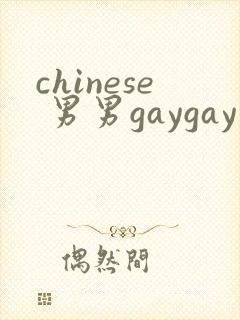 chinese 男男gaygay 网站