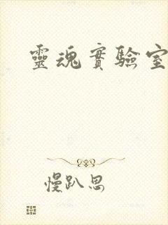 灵魂实验室封面