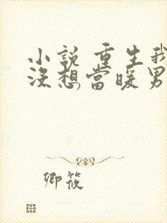 小说 重生我真没想当暖男