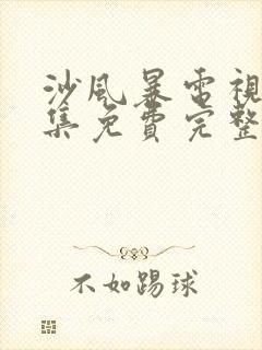 沙风暴电视剧全集免费完整版