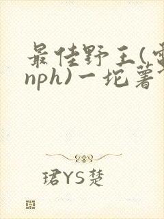 最佳野王(电竞nph)一坨薯饼封面