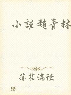 小说赵青林安澜