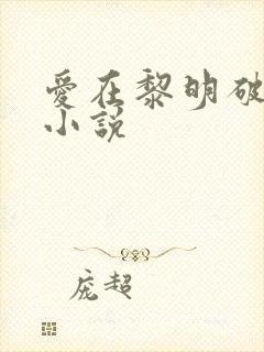 爱在黎明破晓前小说