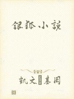 银狐小说