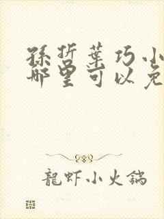 孙哲叶巧小说在哪里可以免费阅读