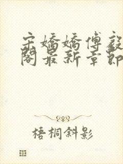 宋娇娇傅毅笔趣阁最新章节