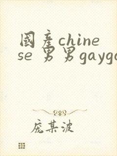 国产chinese 男男gaygay网站