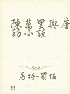 陈万里与唐嫣然的小说