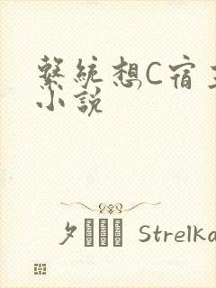 系统想C宿主的小说封面