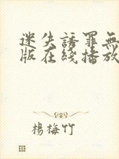 迷失诱罪无删减版在线播放电视剧