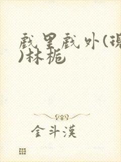 戏里戏外(现场)林栀封面