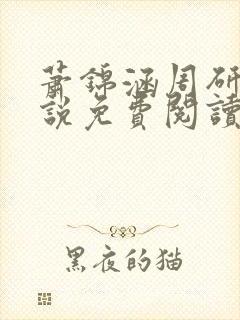 萧锦涵周研之小说免费阅读最新章节封面