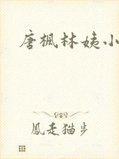 唐枫林姨小说封面