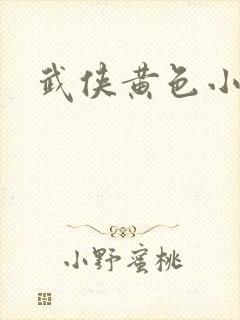 武侠黄色小说封面