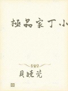 极品家丁小说