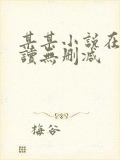 某某小说在线阅读无删减