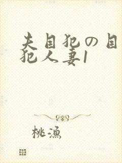 夫目犯の目前侵犯人妻1