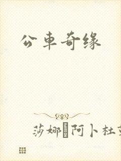 公车奇缘