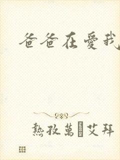 爸爸在爱我一次封面