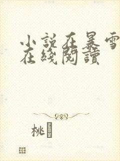 小说在暴雪时分在线阅读