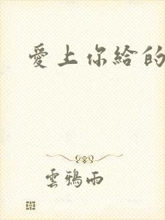 爱上你给的痛封面