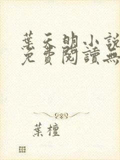 叶天明小说全文免费阅读无弹窗最新章节