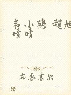 韦小鸨 赵旭李晴晴