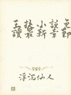 王扶小说免费阅读最新章节无弹窗