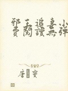 邪王追妻小说免费阅读无弹窗