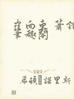 崔向东 萧错 笔趣阁