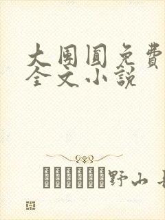 大团圆免费阅读全文小说封面